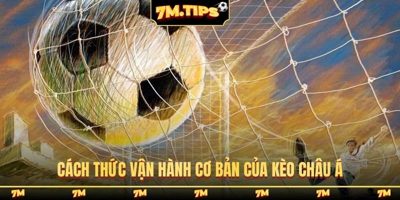 Cách thức vận hành cơ bản của kèo Châu Á