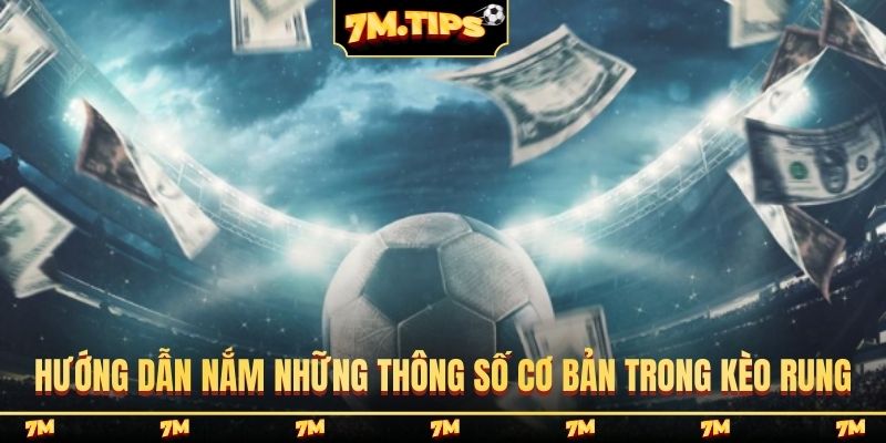 Hướng dẫn nắm những thông số cơ bản trong kèo rung